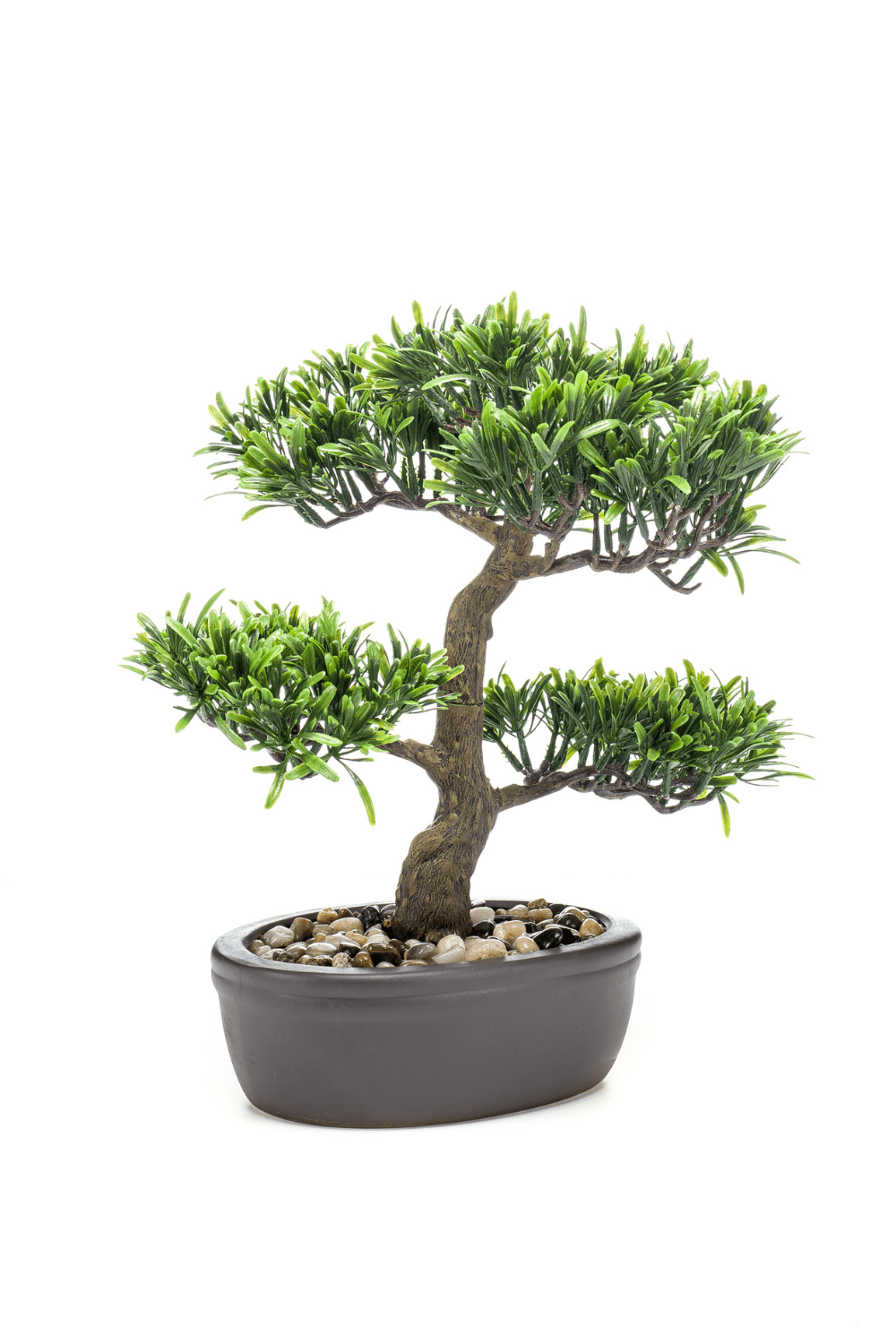 Plante Artificielle Bonsaï Podocarpus 32cm main image 0