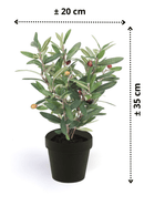 afmetingen Olijf Kunstplant 35cm