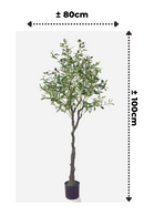 afmetingen Kunst Olijfboom 150cm