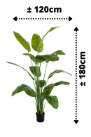 afmetingen kunst bananenplant 180cm