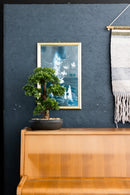 Bonsai Mini kunstplant 43cm