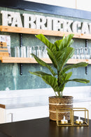 Ficus Artificiel 60cm