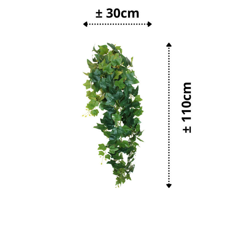 afmetingen hedera kunst hangplant