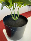 <transcy>Plante Artificielle Schefflera 30cm</transcy>