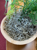 Asperge Artificielle Plante Suspendue 80cm