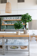 <transcy>Laurier artificiel 60cm</transcy>