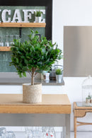 <transcy>Laurier artificiel 60cm</transcy>