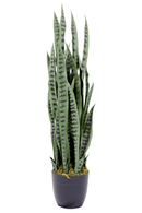Sansevieria Kunstplant 100cm