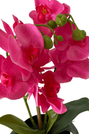 bloem Kunst Orchidee Roze 30cm