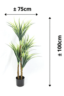 Plante Artificielle Dracaena 100cm