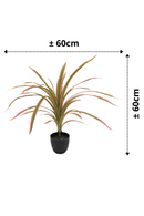 afmetingen Dracaena Kunstplant oranje 60cm