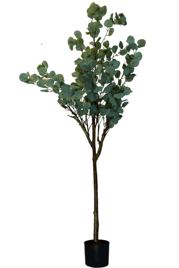 Eucalyptus Kunstboom 160cm