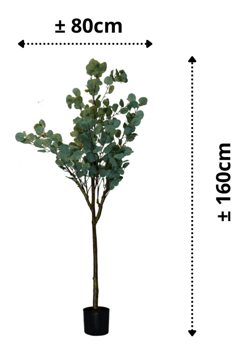 afmetingen Eucalyptus Kunstboom 160cm