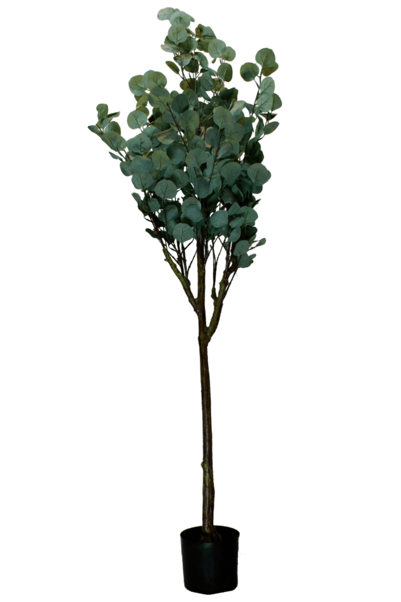 ingevouwen Eucalyptus Kunstboom 160cm