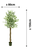 afmetingen Ficus kunstboom 150cm