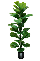Ficus Kunstplant 100cm