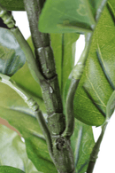 stam Ficus Kunstplant 100cm