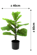 afmetingen Ficus Kunstplant 60cm