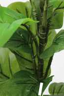 stam en bladeren Ficus Kunstplant 60cm