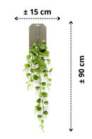 afmetingen Hoya Kerrii Kunst Hangplant 90cm
