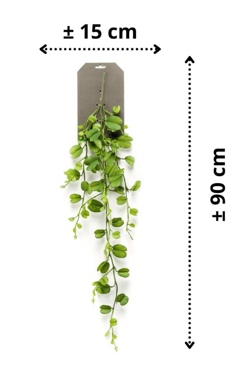 afmetingen Hoya Kerrii Kunst Hangplant 90cm