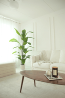 sfeerbeeld Kunst Bananenplant Serie A 210cm