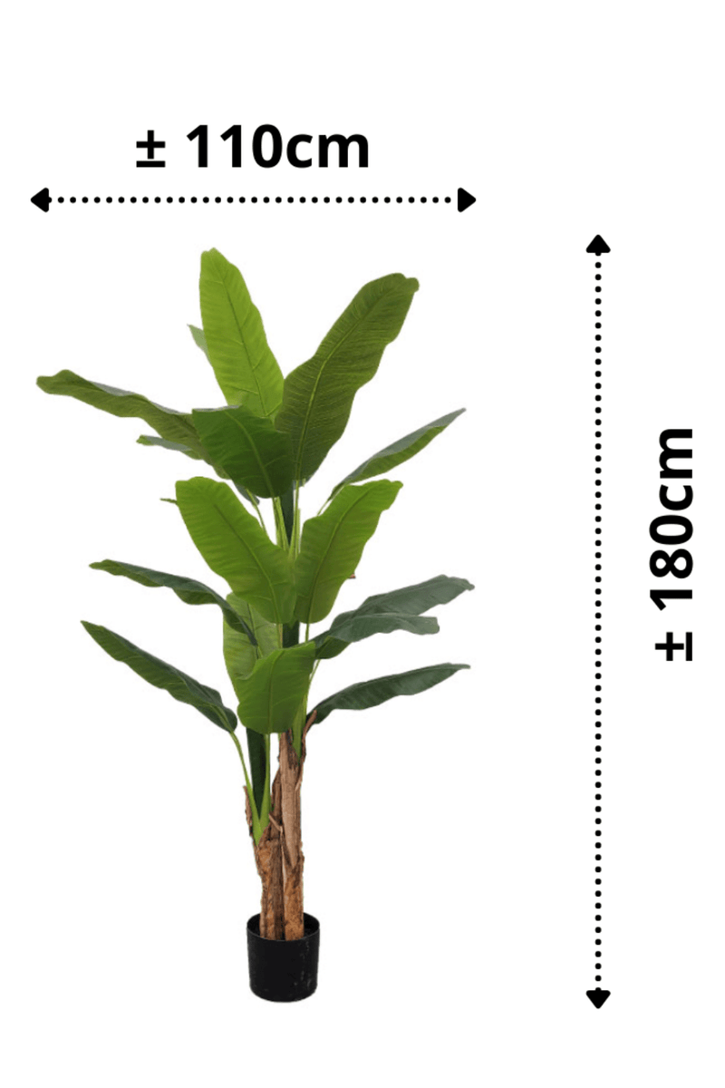 afmetingen Kunst Bananenplant Serie B 180cm