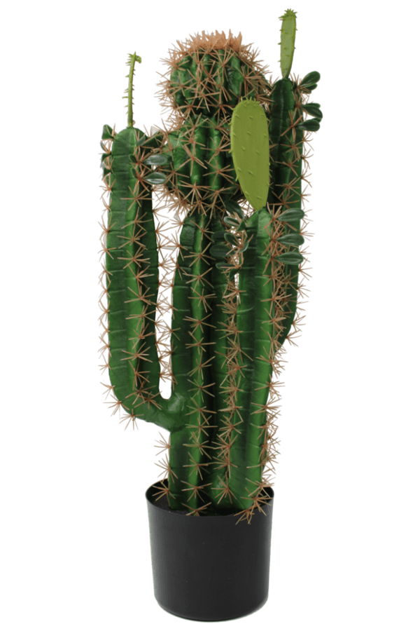 Kunst Cactus 70cm