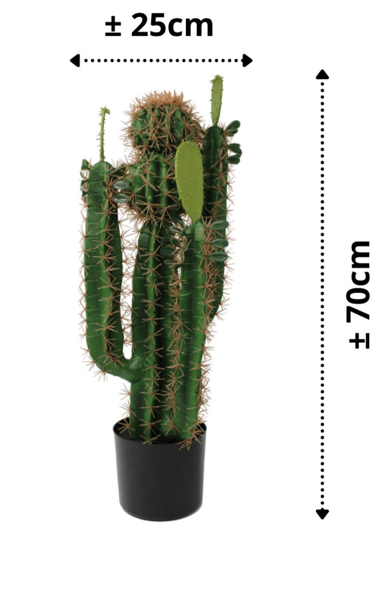 afmetingen Kunst Cactus 70cm