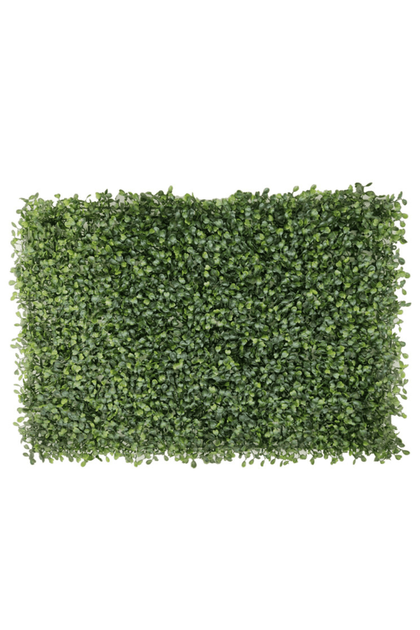 Kunsthaag Buxus Wandmat 60x40cm