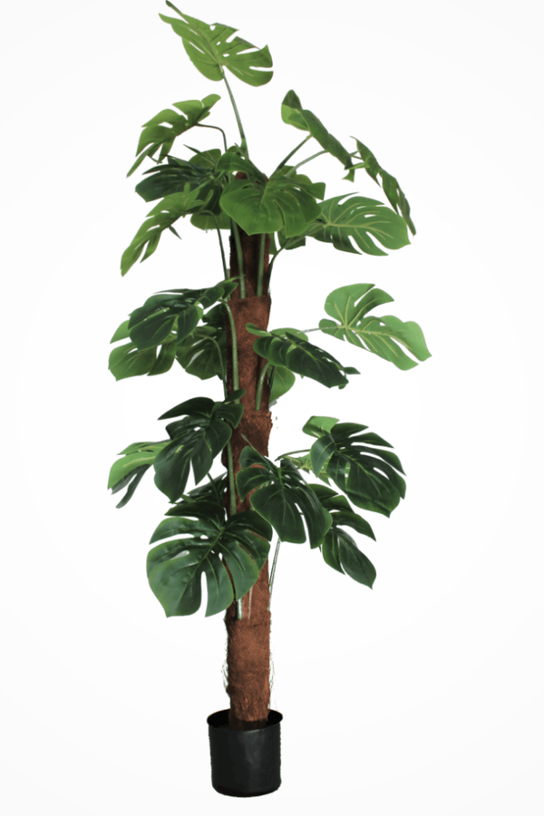 Monstera Kunstplant 150cm