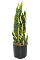 Sansevieria Kunstplant 50cm