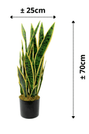 afmetingen Sansevieria Kunstplant 70cm
