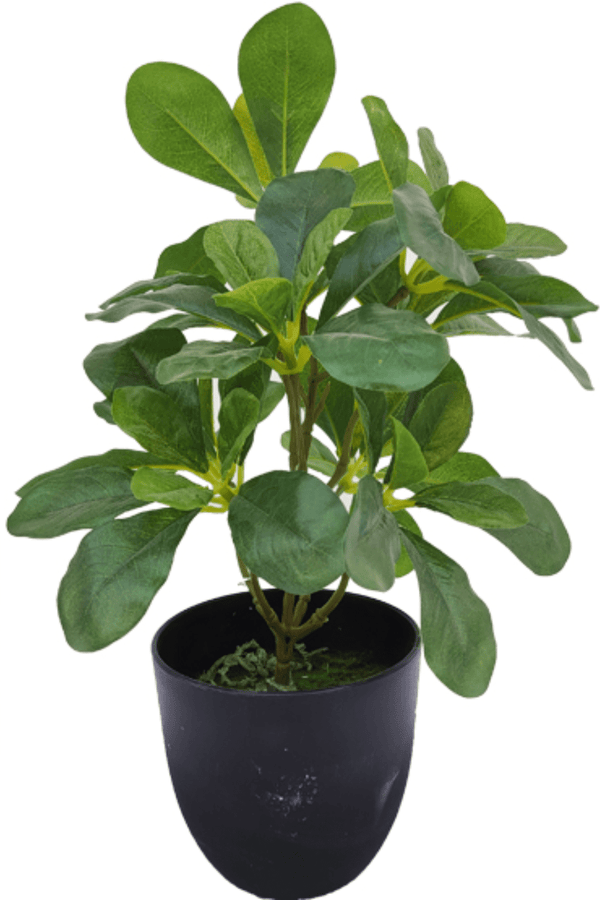 Schefflera Kunstplant 30cm