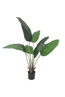 Strelitzia Kunstplant 120cm
