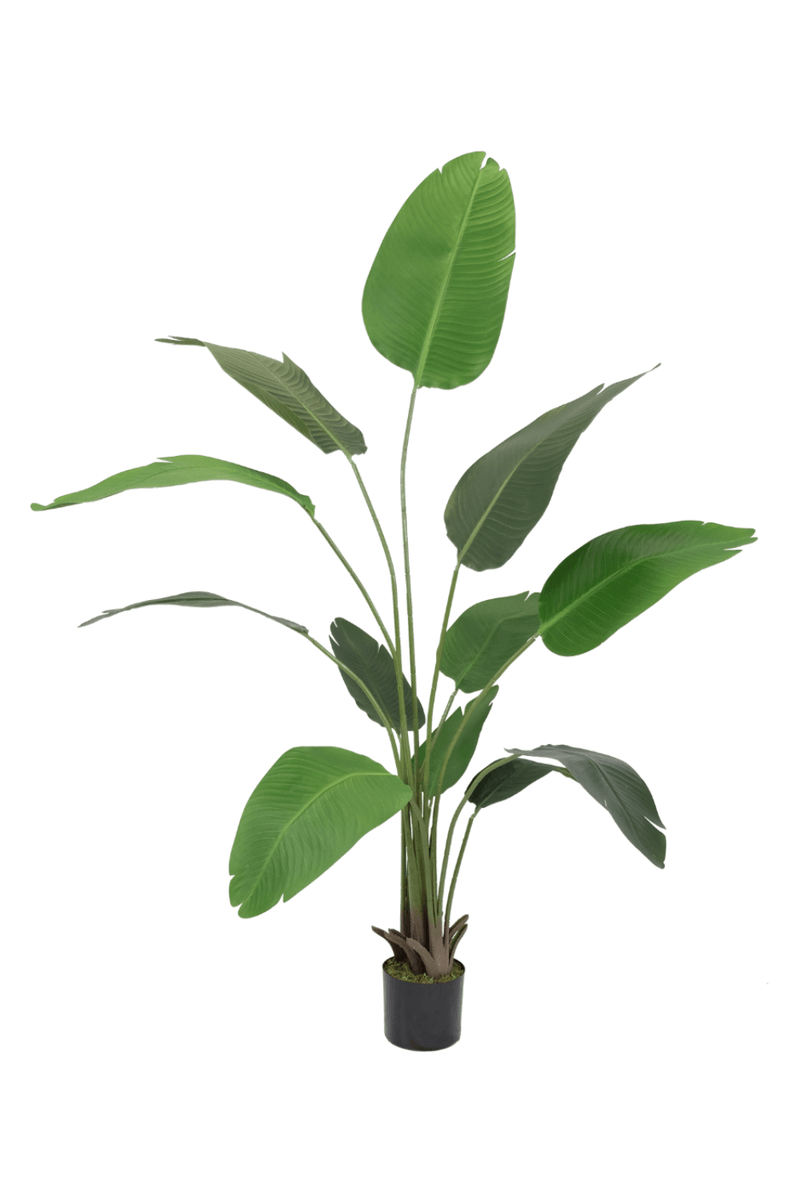 Strelitzia Kunstplant 180cm