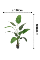 Plante Artificielle Strelitzia 180cm