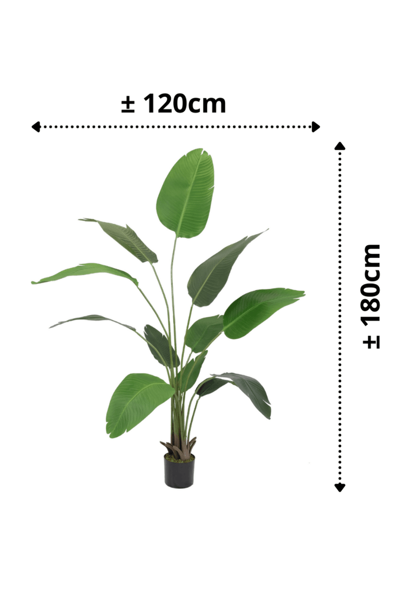 Strelitzia Kunstplant 180cm
