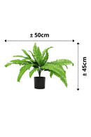 afmetingen Varen Kunstplant 45cm