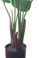 bodem Strelitzia Kunstplant 90cm