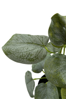 Plante Artificielle Polyscias 30cm