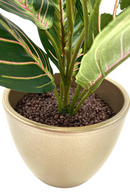 Kunst Maranta Bush 30cm