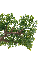 Bonsai Mini Kunstplant 19cm