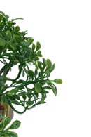 Bonsai Mini Kunstplant 19cm