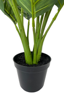 Calathea artificielle 60cm