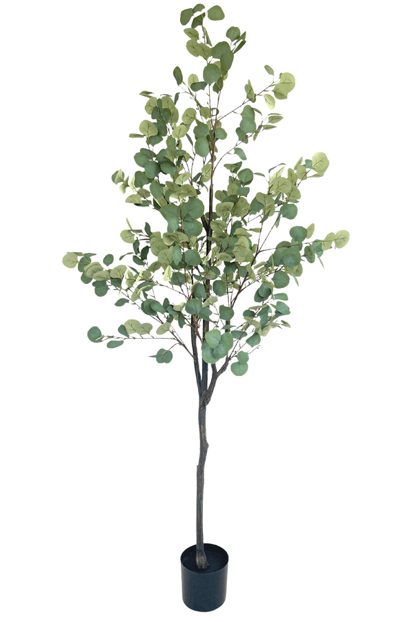 Eucalyptus Kunstboom 180cm
