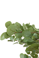 Eucalyptus artificiel 180cm