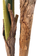 Kunst Bananenplant Serie B 150cm