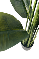 <tc>Bananier Artificiel Série A 180cm</tc>