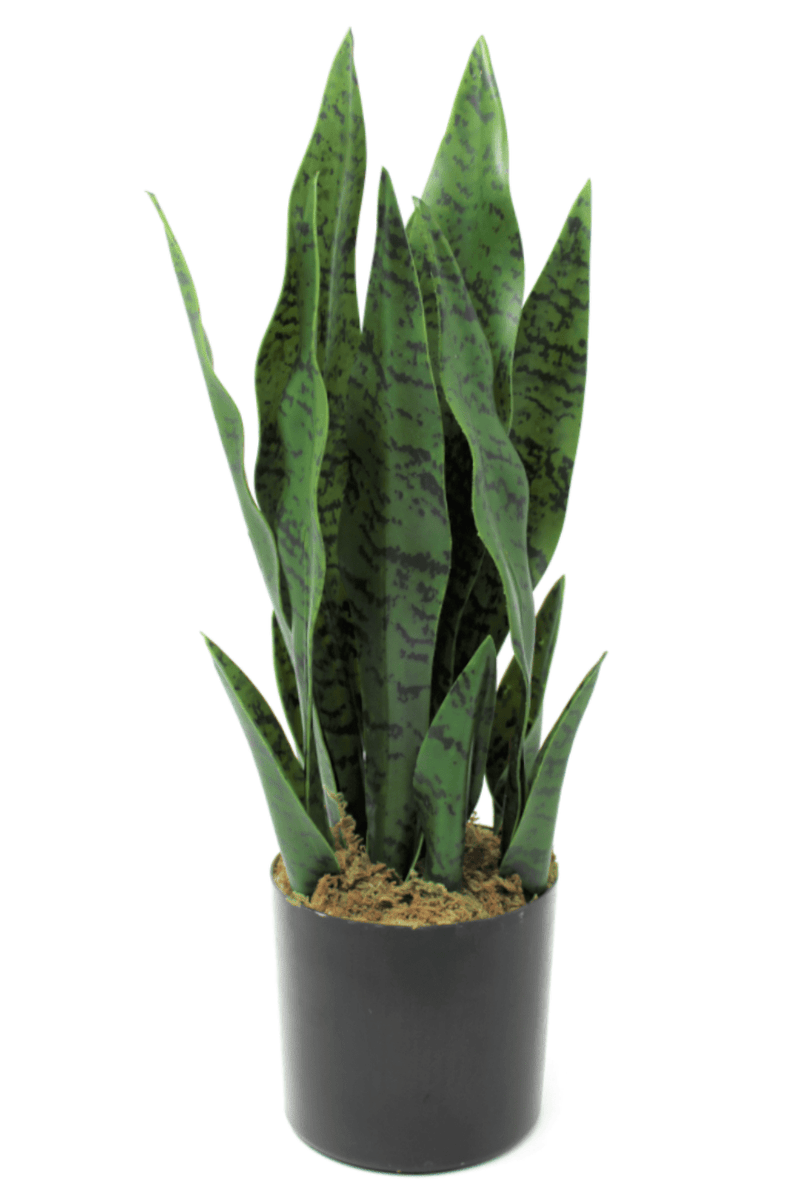 agave kunstplant 50cm